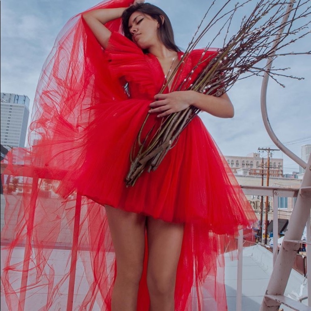Red Designer Dress by Giambattista Valli